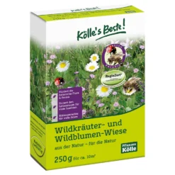 Kölle's Beste Wildkräuter- & Wildblumen-Wiese, Ostdeutsches Tiefland, 250 G