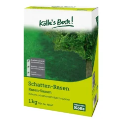 Kölle's Beste Schattenrasen Mit Lägerrispe Poa Supina, 1 Kg
