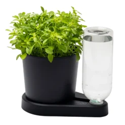 Kräuterheld, Schwarz, PP/PET, 14 X 14 X 22 Cm