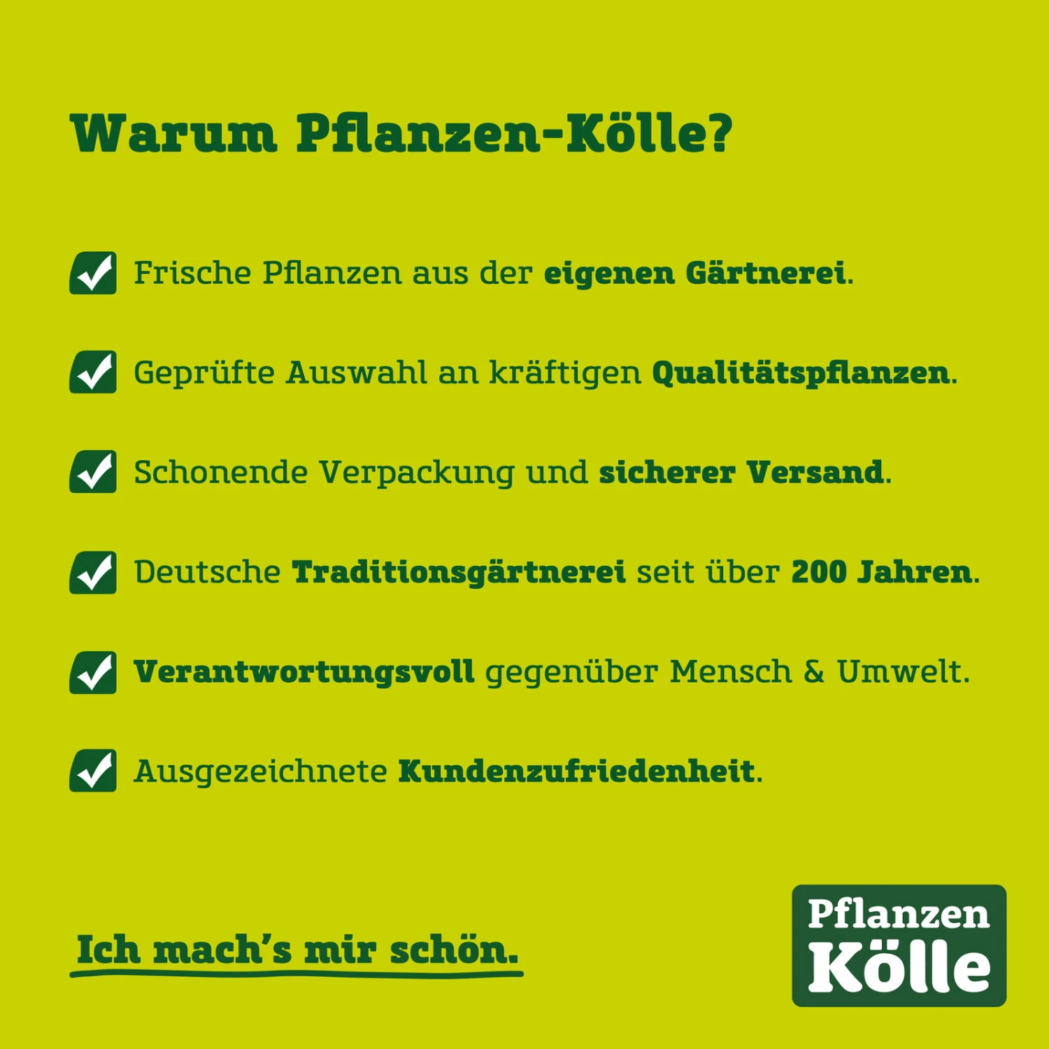 Tafeltraube 'Philipp®' – Bild 6